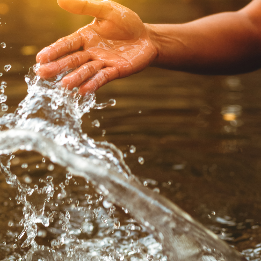 Importância do Reuso de Água: Sustentabilidade, Economia e Futuro com a Fathor PH